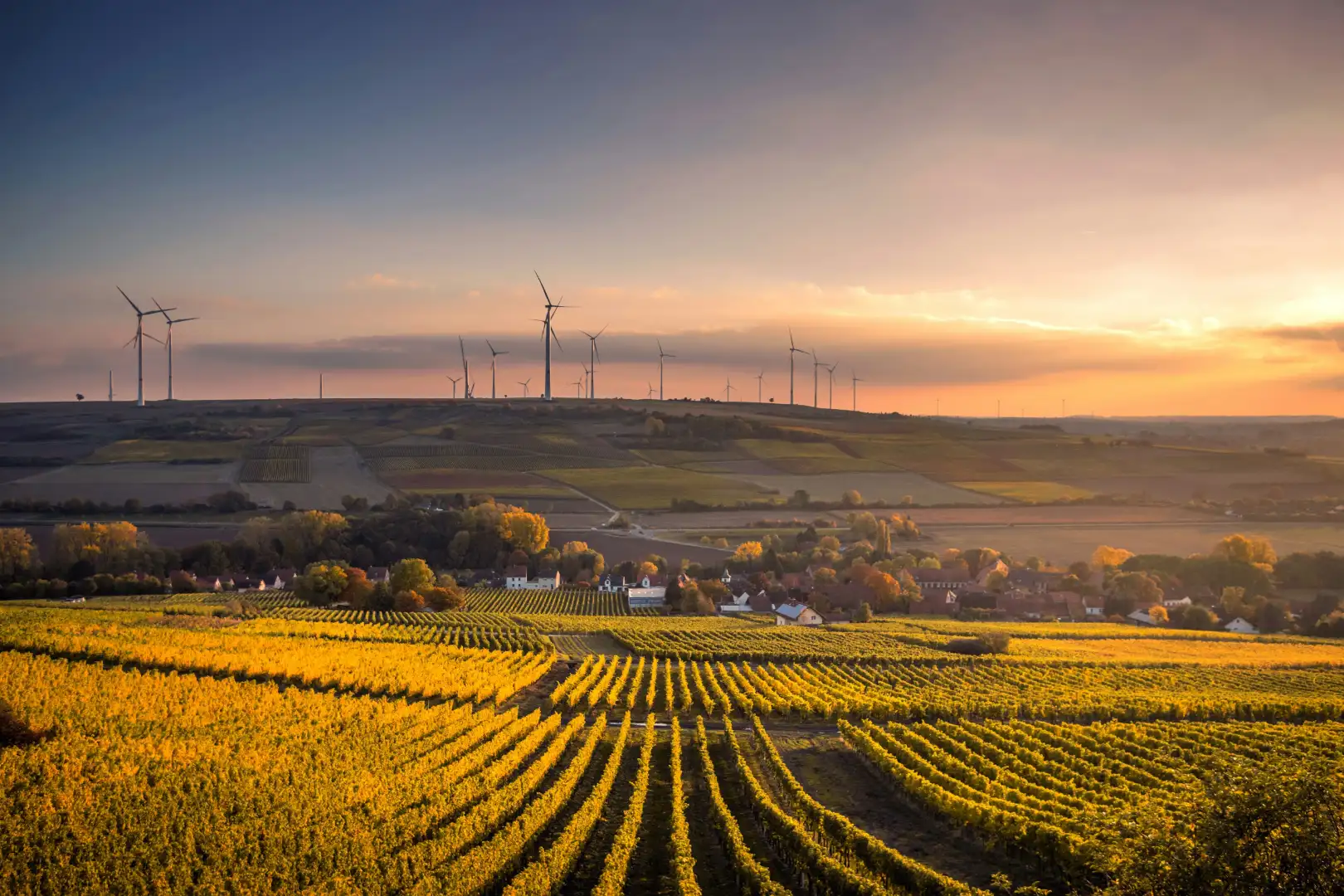 Farmland and wind turbines at sunset, representing FarMart's agricultural supply network